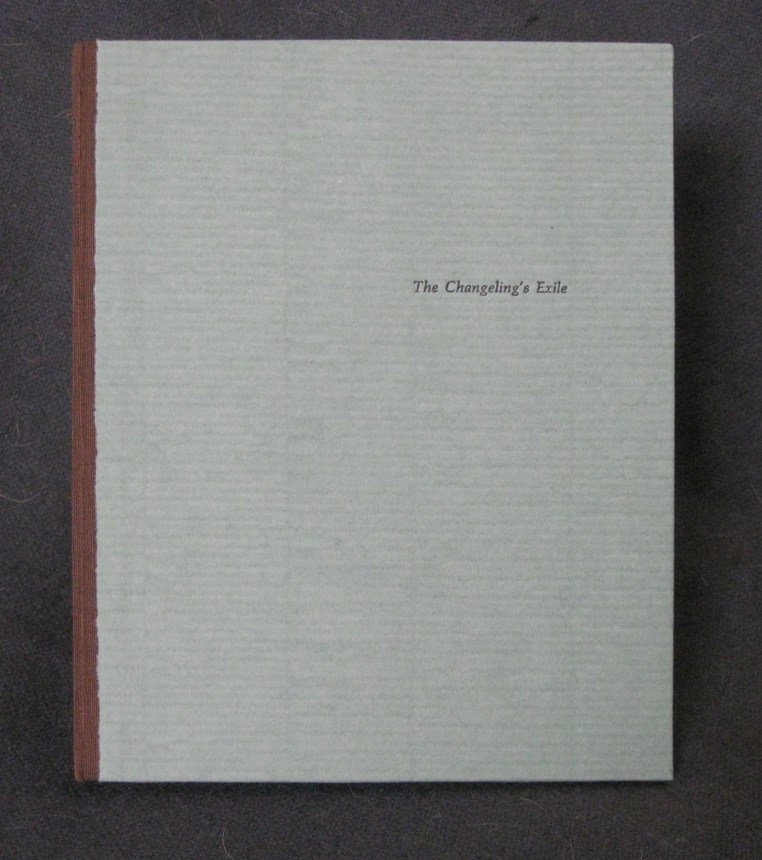 Cover for The Changeling's Exile